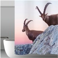 My Bath, Duschvorhang CAPRICORN
