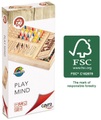 Cayro Games FSC Play Mind Colors