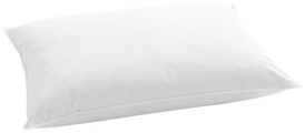 Billerbeck, Standard 350 65x100 Kissen
