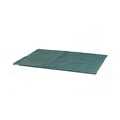 Dogspring by MAUL Hundedecke Caro Oase - mint