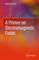 A Primer on Electromagnetic Fields