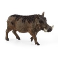 Schleich, Schleich Wild Life - 14843 Warzenschwein