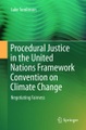 Procedural Justice in the United Nations Framework Convention on Climate Change