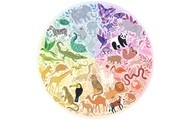 Circle of Colors - Tiere, 500 Teile Multicolor