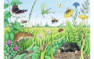 Wieso? Weshalb? Warum? Tiere im Wald und auf der Wiese, Puzzle
