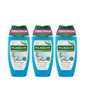 Palmolive Mineral Massage Duschgel, 3x250ml Damen 3X250ML