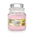 Yankee Candle - Duftkerze Sunny Daydream - 104 g