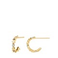 Ohrhänger Damen Gold ONE SIZE