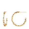 Ohrhänger Damen Gold ONE SIZE