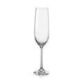 BOHEMIA Cristal, Champagnerglas Viola