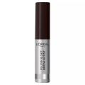 L'oreal Paris Brow Artist Plump & Set