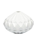 Vase Vase