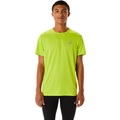 Rd-tshirt,ka Herren Gelb S