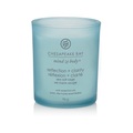 Chesapeake Bay Candles Duftkerze Reflection & Clarity Small Tumbler