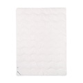 NATURTEX, Leichtes Ganzjahres-Duvet Natural Hemp
