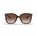 Michael Kors Sonnenbrillen MK2137U ANAHEIM 300613
