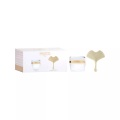 sisley - Coffret Duo Sisleÿa L'Intégral Anti-Âge & Ginkgo Gua Sha, Sisleya, Set