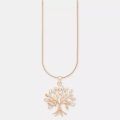 Amor S Sets Damen Silber 60 cm
