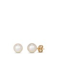 Ohrstecker Gelbgold Damen Gelbgold ONE SIZE