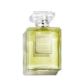 Chanel 19 Poudre by Chanel Eau de Parfum Spray 100 ml