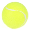 Tennisbälle Für Wettkampf Und Training (10er-pack) Herren Gelb ONE SIZE