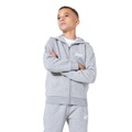 Kapuzenjacke Mit Minilogo Jungen Grau 158