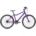 Academy, Academy Grade 5 Belt 24' Kindervelo violett