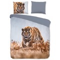 Good Morning, Good Morning Bettwäsche-Set TIGER 200x200/220 cm Mehrfarbig