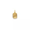 Anhänger Sternzeichen Waage Gelbgold 750, 19x10mm Damen Gelbgold ONE SIZE