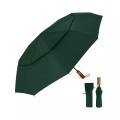 Alopini, Alopini - Automatischer großer sturmsicherer Regenschirm, Taschenschirm mit belüftetem Doppeldach und Holzgriff, One Size, Rasengrün