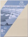 ARTOZ Karten 1001 E6 107372262 220g. chamois 5 Blatt