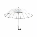eStore Transparenter Regenschirm