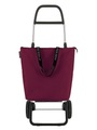 Rolser, ROLSER TROLLEY MINI BAG PLUS MF 2 L BURDEOS (MNB042_BU)