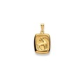 Anhänger Sternzeichen Steinbock Gelbgold 750, 24x13mm Damen Gelbgold ONE SIZE