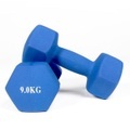 Gladiatorfit, GladiatorFit Hanteln mit Neoprenüberzug Bodybuilding und Fitness (2er-Set) : 2 x 9 KG Hanteln