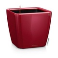 Lechuza - 3er-Set Blumenkästen mit Integriertem Bewässerungssystem Quadro Premium 43 LS - Rot