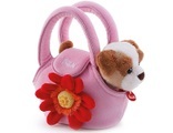 Hund in Tasche