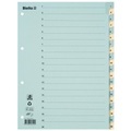 Kartonregister Taben Verstärkt, Teilung 1-20 - X 10 Unisex Blau A4