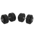 Northio - Hantelset 2er Kurzhanteln, 50 kg Kurzhantel Set mit 2 Kurzhantelstangen, 12 Gewichten & 4 Sternverschlüsse, Stahl, Schwarz, One Size