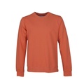 Sweatshirt Mit Rundhalsausschnitt Classic Organic Dark Amber Herren L