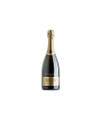 Prosecco Brut Torre dei Vescovi Tullio I° Millesimato Spumante DOC Prosecco Brut Torre dei Vescovi Tullio I° Millesimato Spumante DOC 2020