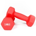 Gladiatorfit, GladiatorFit Hanteln mit Neoprenüberzug Bodybuilding und Fitness (2er-Set) : 2 x 2 KG Hanteln