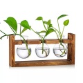 Blumenvase Vintage Kleine Vasen für Tischdekoration Modernes Glas Reagenzgläser für Blumen mit Blumenvase Vintage Kleine Vasen für Tischdekoration Modernes Glas Reagenzgläser für Blumen mit