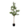 Northix - Künstlicher Olivenbaum im Topf, One Size
