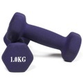 Gladiatorfit, GladiatorFit Hanteln mit Neoprenüberzug Bodybuilding und Fitness (2er-Set) : 2 x 1 KG Hanteln