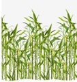 diaqua Duschvorhang Bamboo