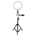 Ringlicht (26 cm) - Verstellbares Stativ Ringlicht (26 cm) - Verstellbares Stativ