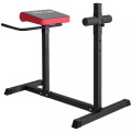 Sportnow, Sportnow - Rückentrainer, One Size