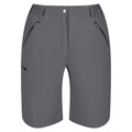 Xert Shorts Unisex Grau W34