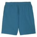 Shorts Herren Blau M